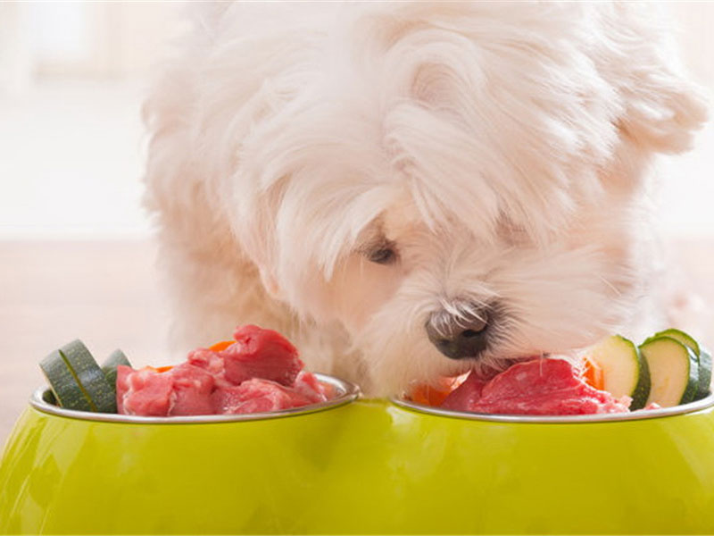 全價犬糧檢測