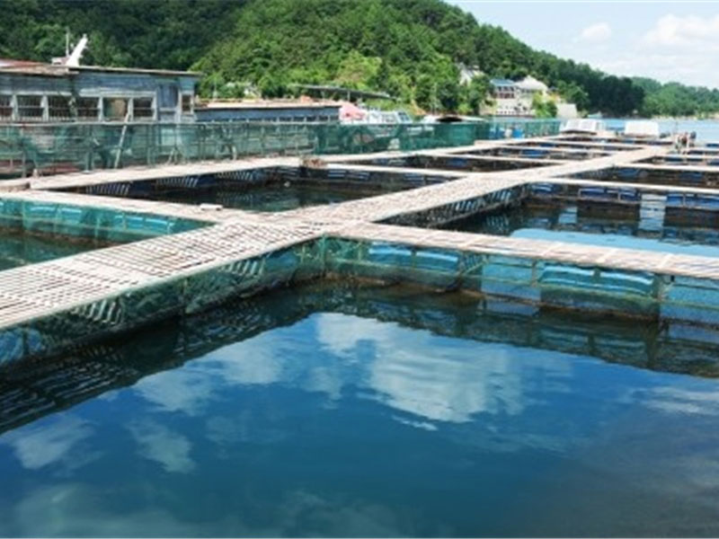 產(chǎn)地水產(chǎn)品獸藥殘留監(jiān)控