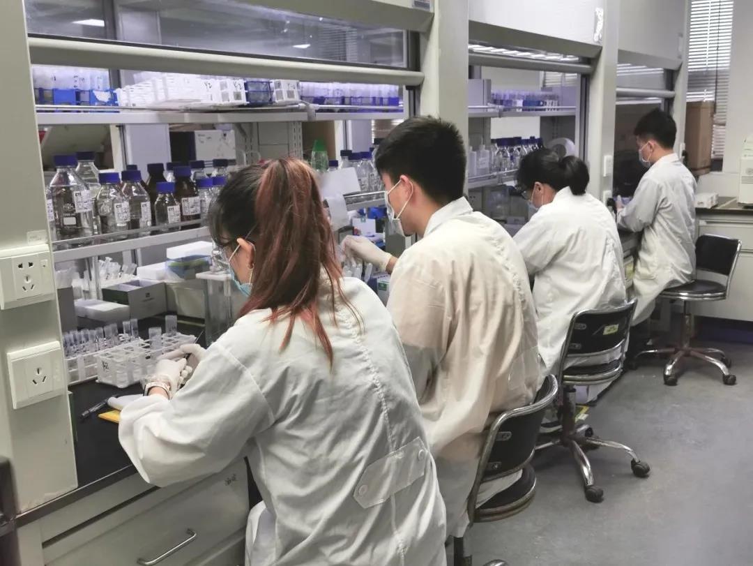 以大賽促學習，華測人永遠在路上！