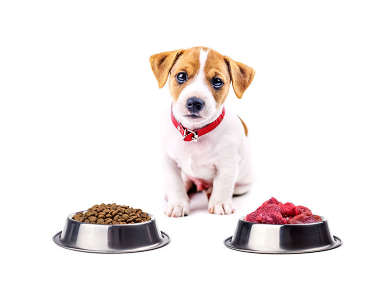 寵物食品/飼料放射元素檢測