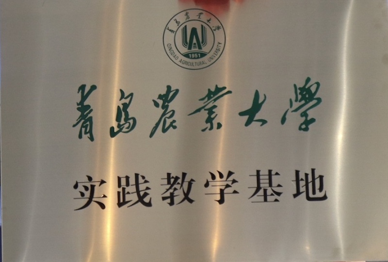 CTI華測檢測x青島農(nóng)業(yè)大學產(chǎn)學研合作基地合作