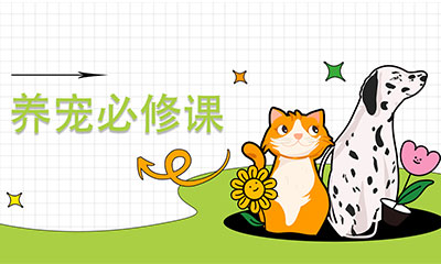【養(yǎng)寵必修課】(第2期）▏母貓懷孕期間的體重管理及注意事項(xiàng)
